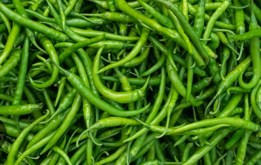 Green Chilly Fresh